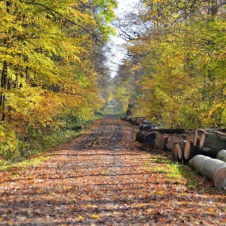 Ankerplatz 2 Sz 2 Balkone By Unsere Urlaubszeit Kellenhusen